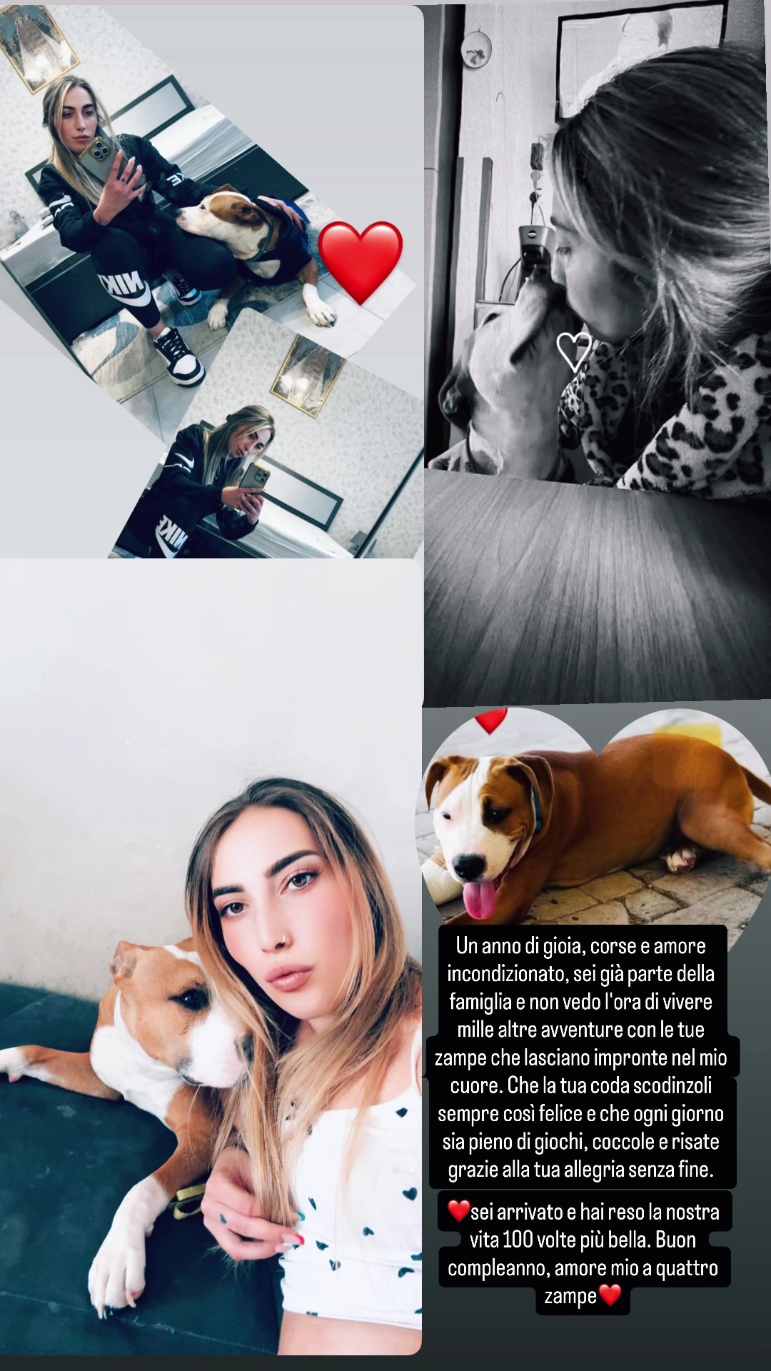 @Licia Firmino 96