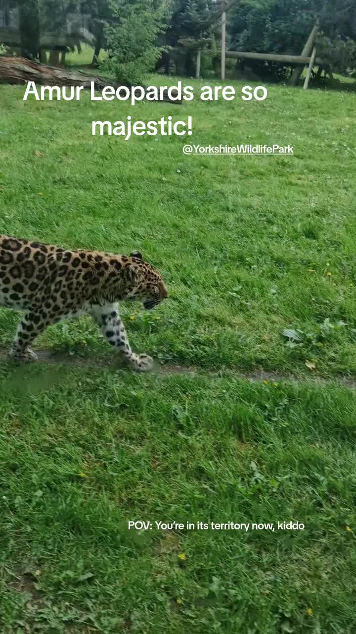 @Amber's Animal Adventures