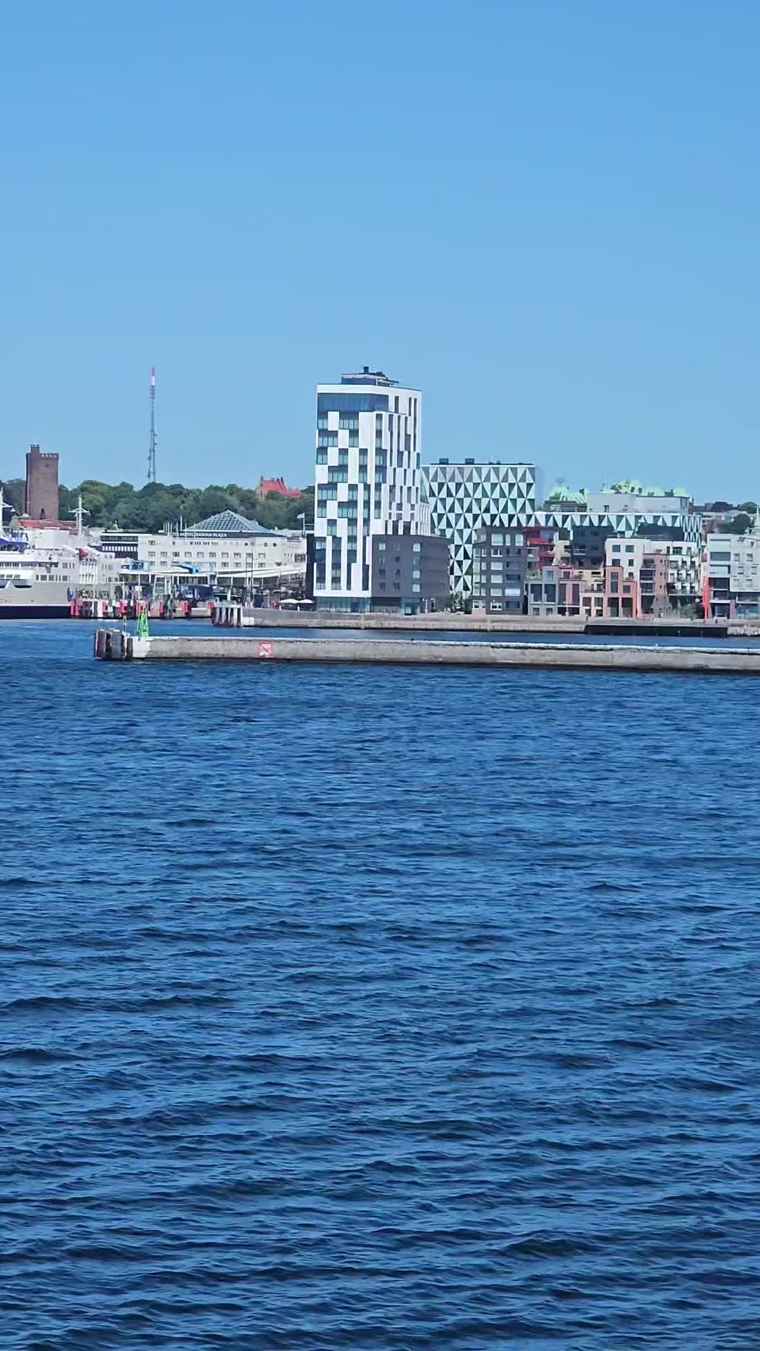@danielaraimondo47