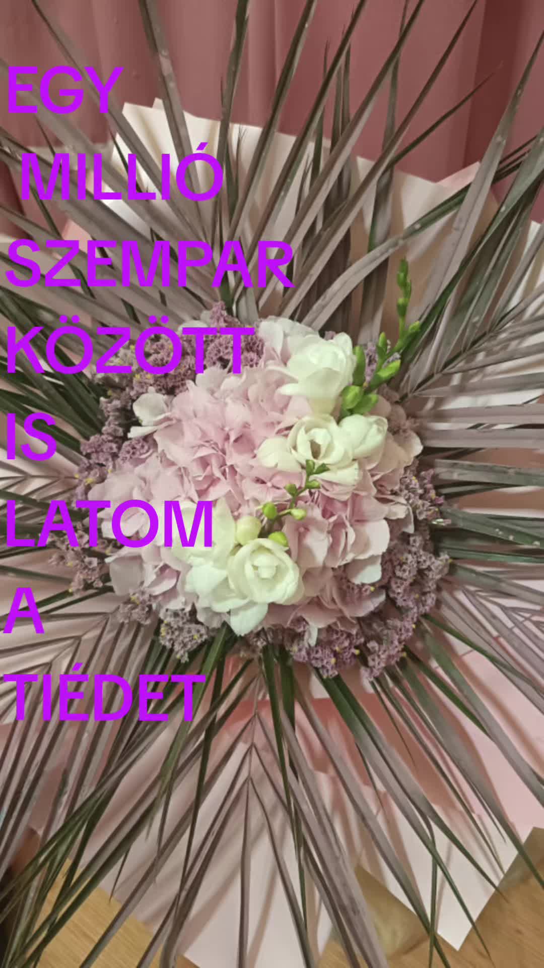 @𝑧𝑠♾️❤