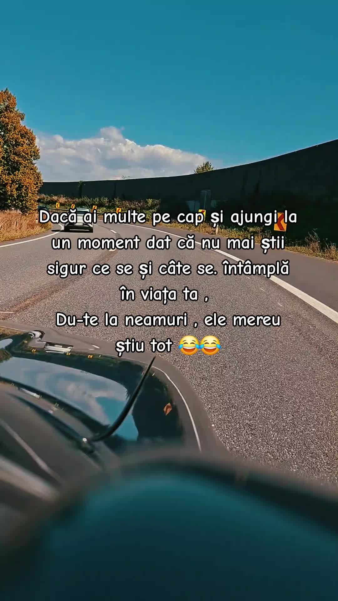 @Nicoleta Balan