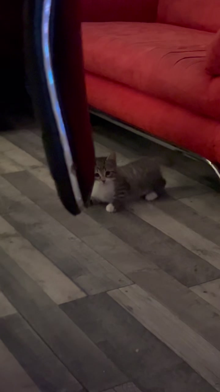 @𝐀𝐥𝐲𝐬𝐬