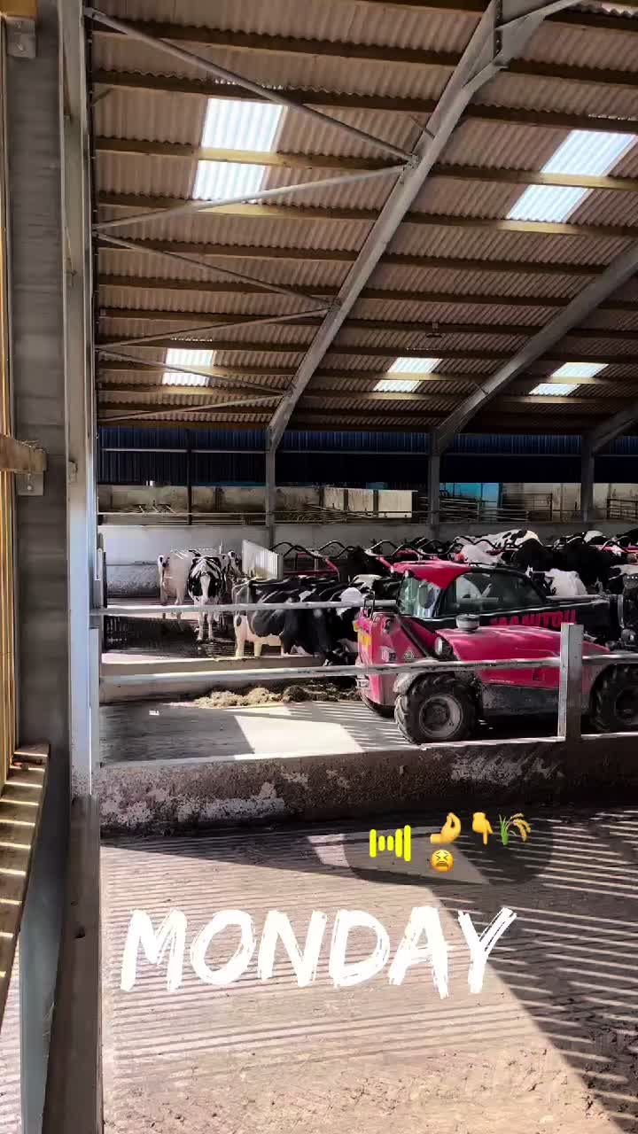 @HariWhitfield 🏴🚜