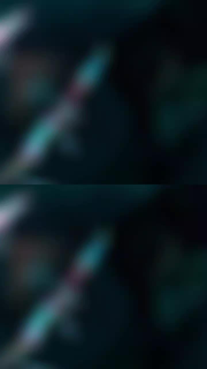 @Alisa