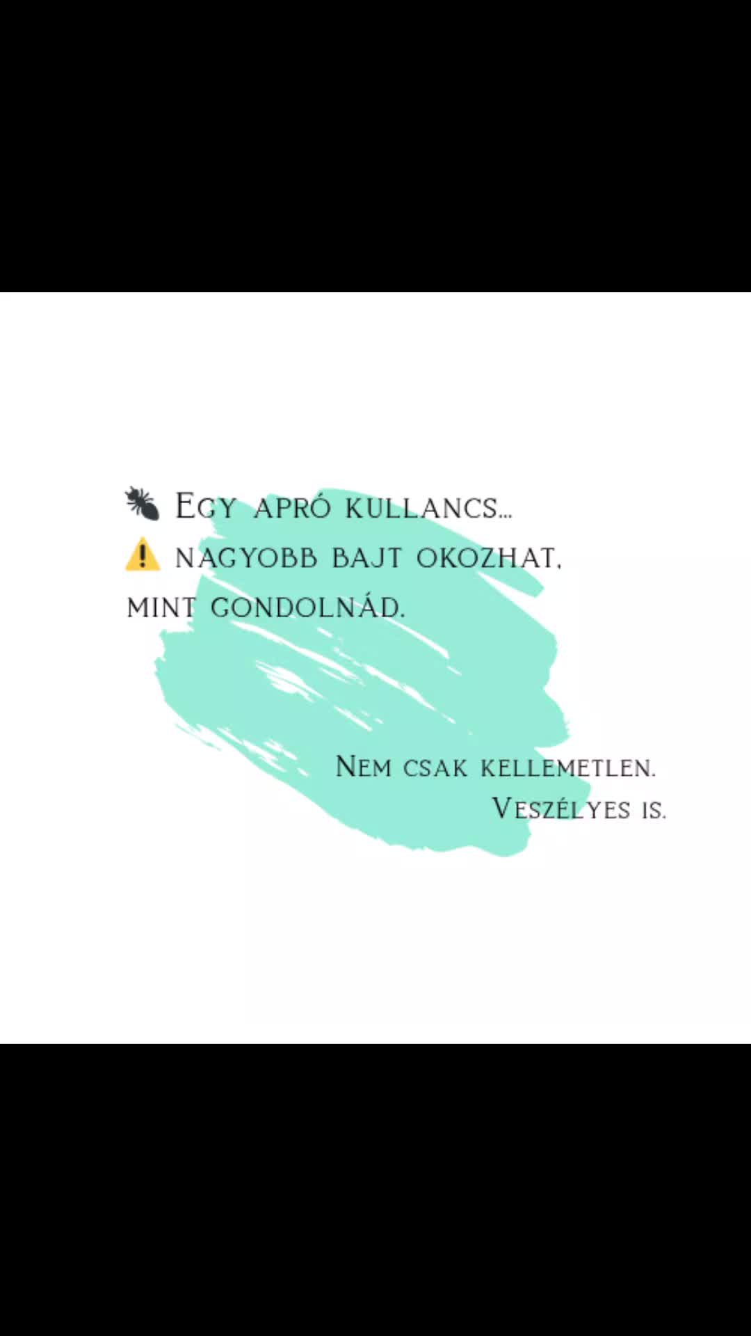 @Zita | Bruuno's Collection