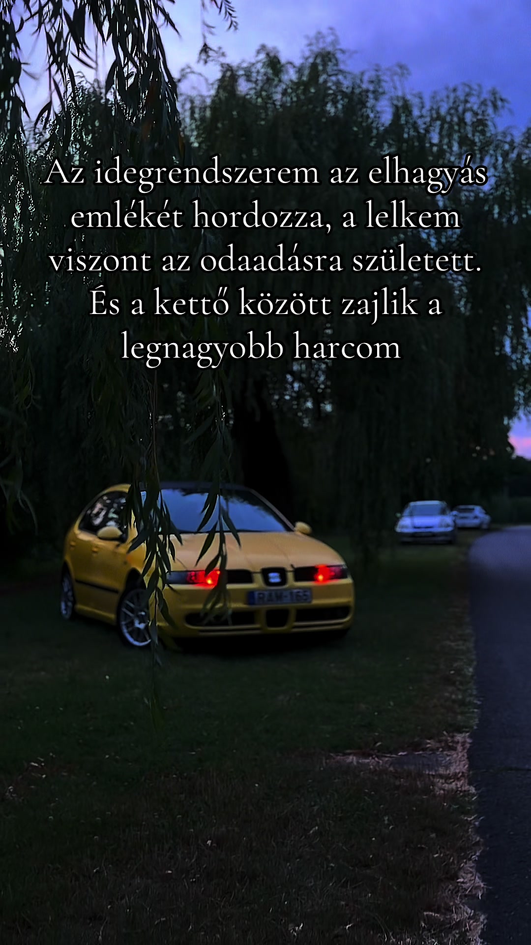 @Gábor Vaskó