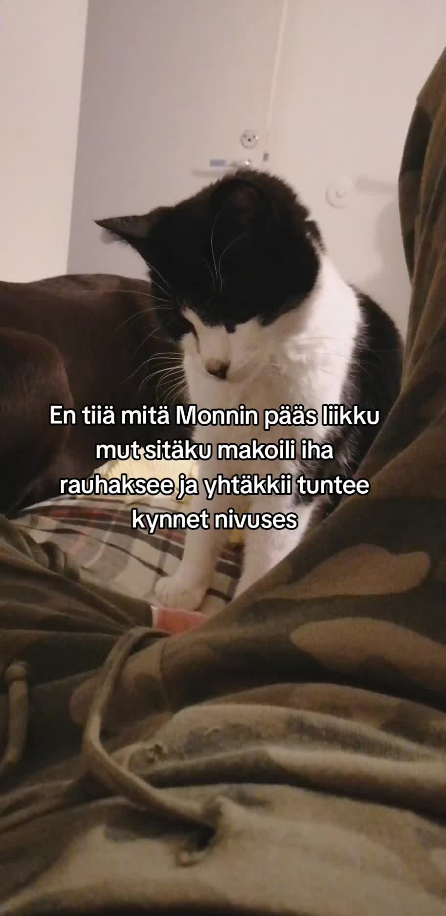 @๐ค ๐๐ℜ๐๐๐ℑ๐ค