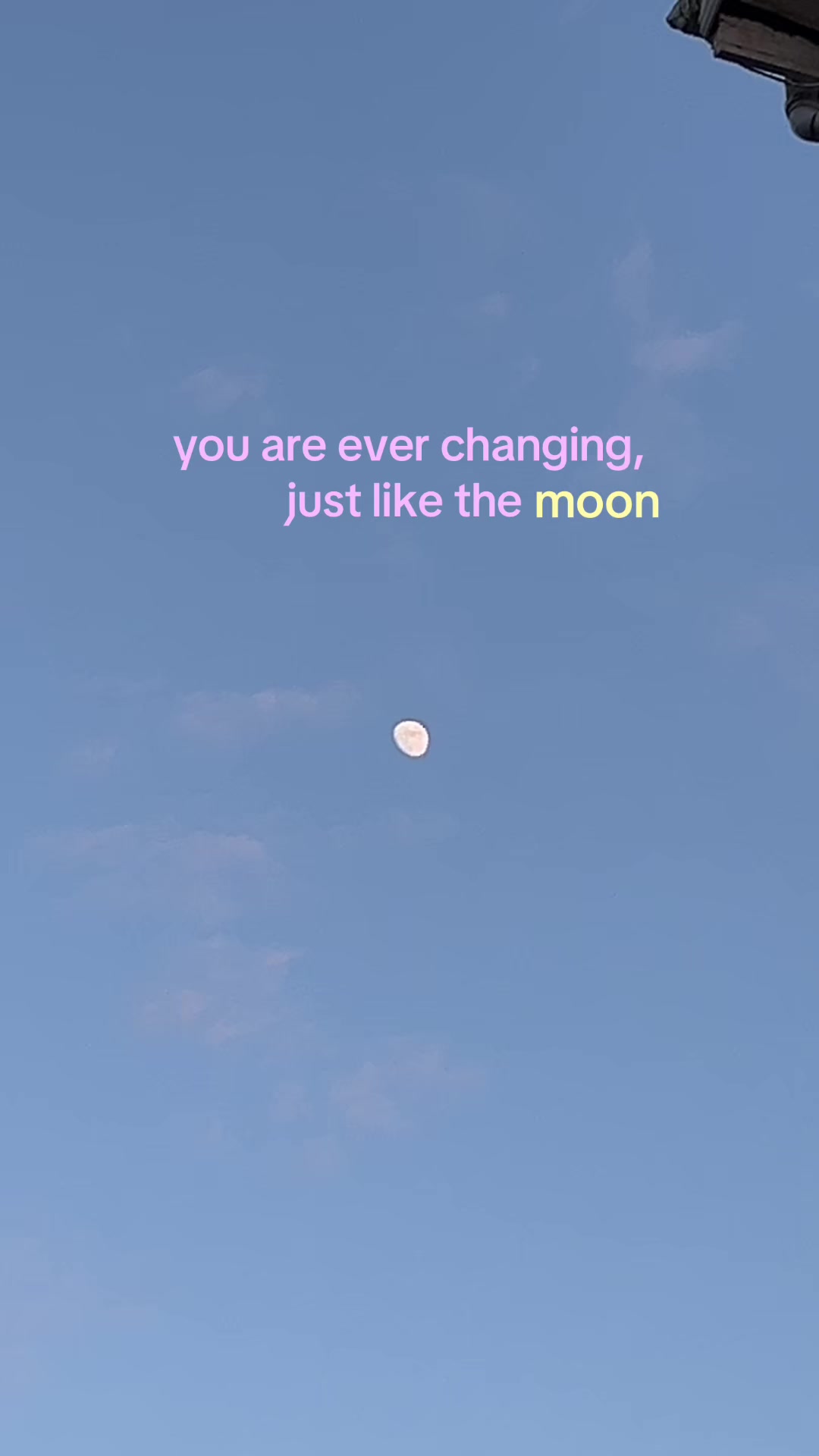 @Chloe ✮⋆˙