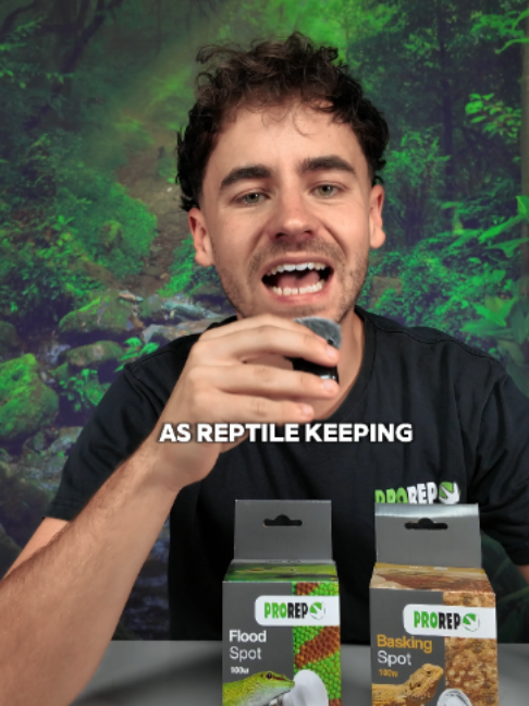 @prorep_reptile