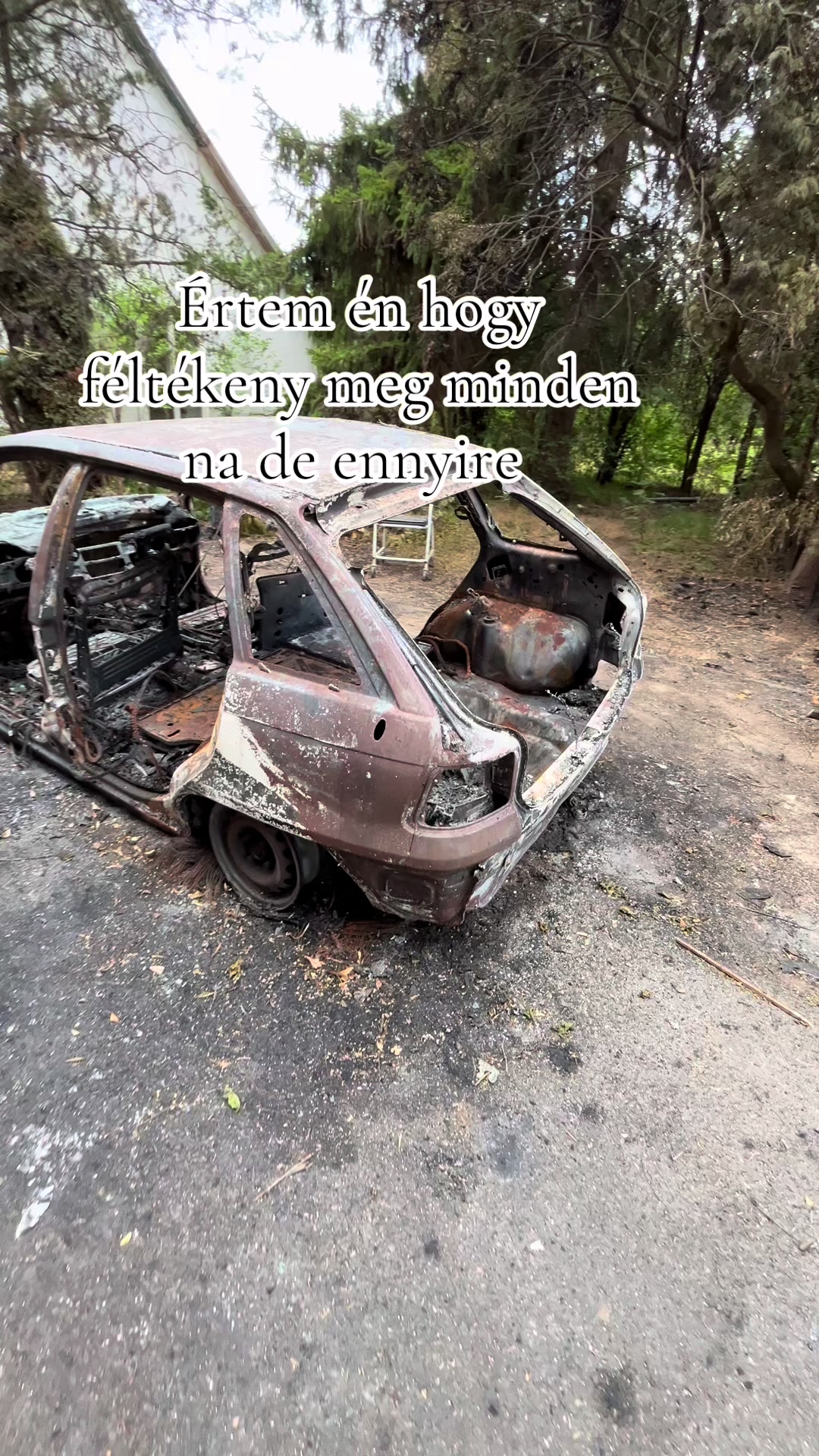 @Tary Béni