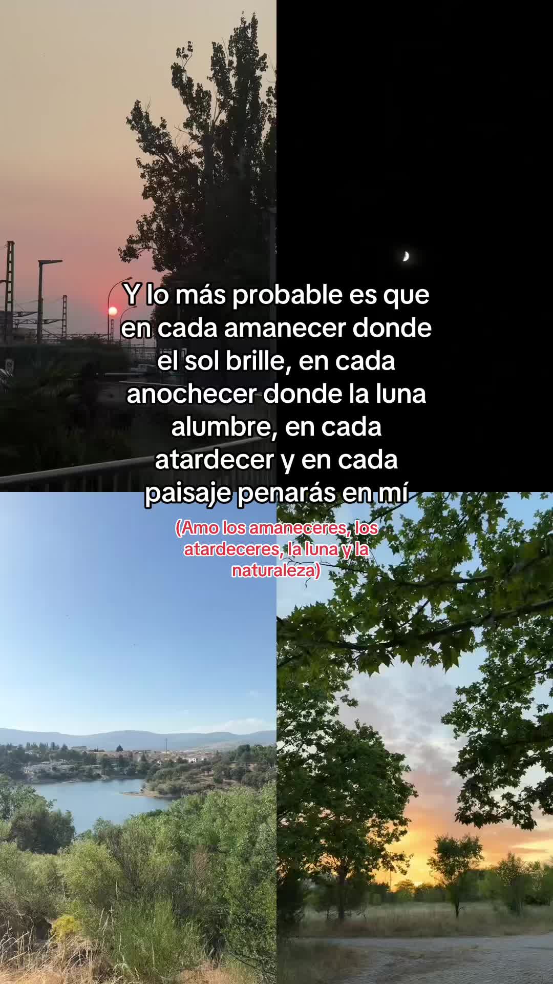 @Alexa Cardenas