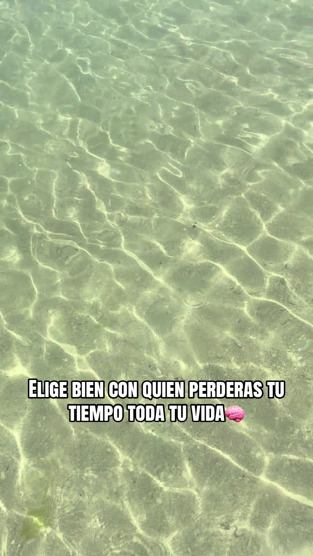 @Evasanchezhk