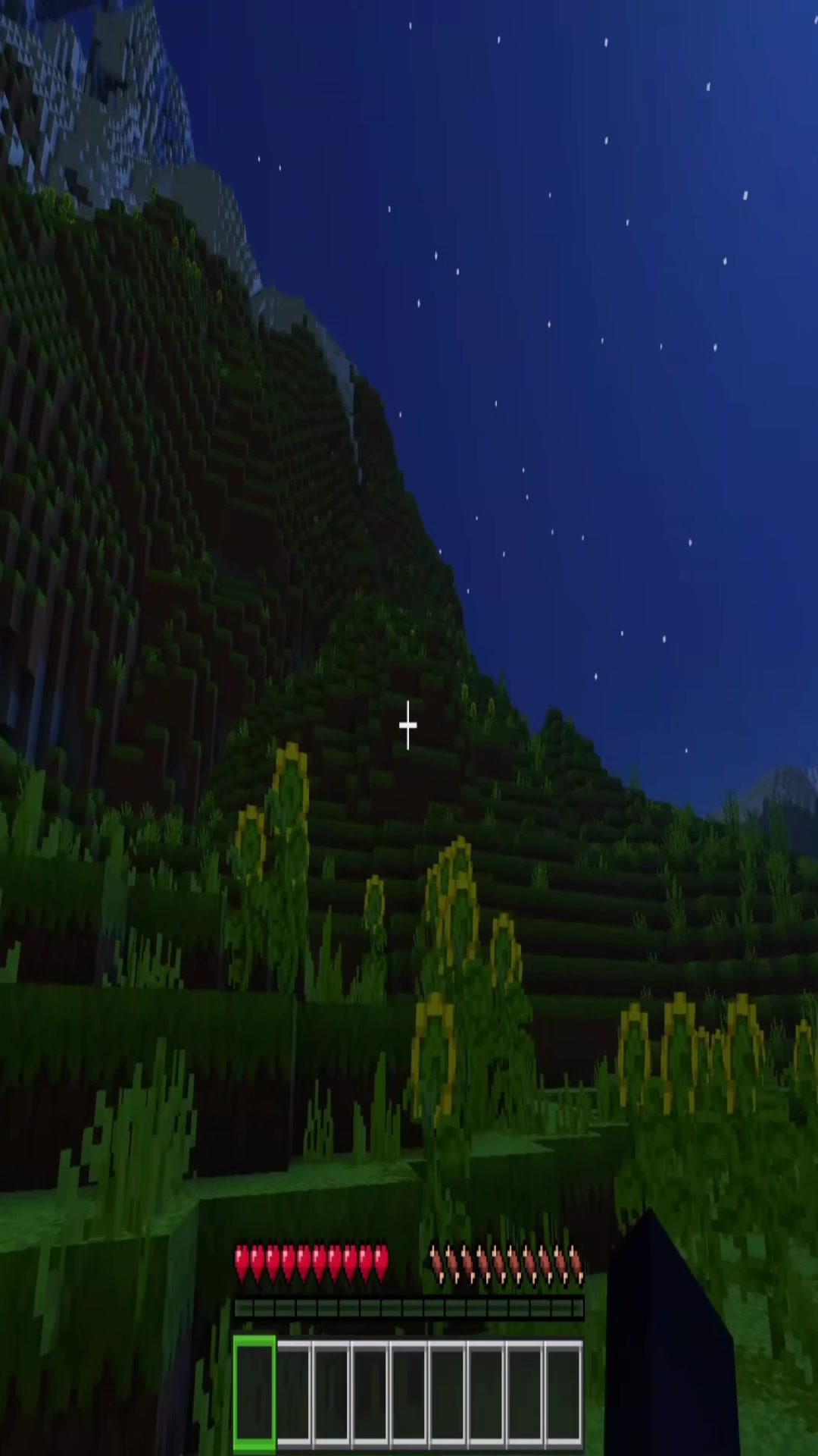 @TheEnderMan