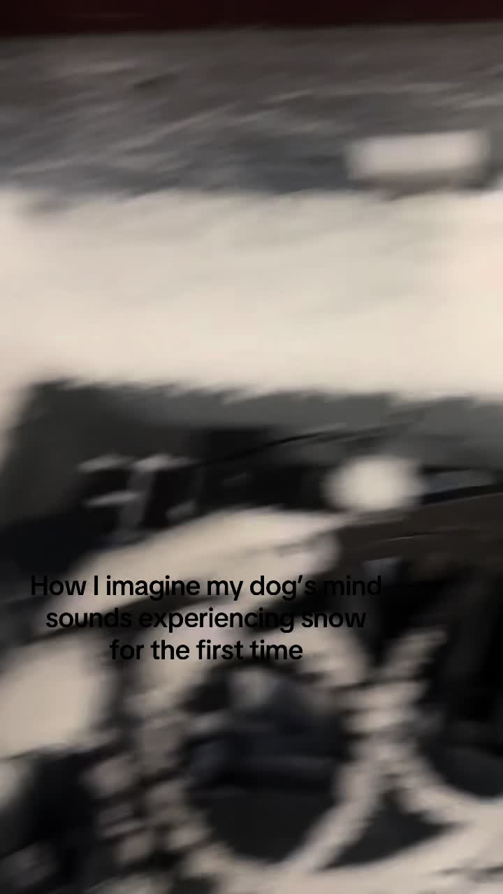 @Hannahhgregory