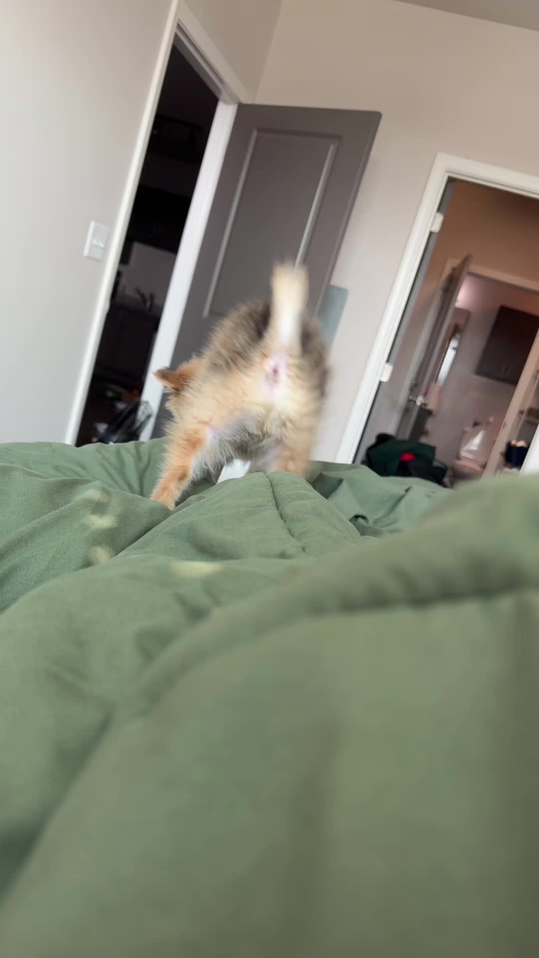 @benzoluv3r