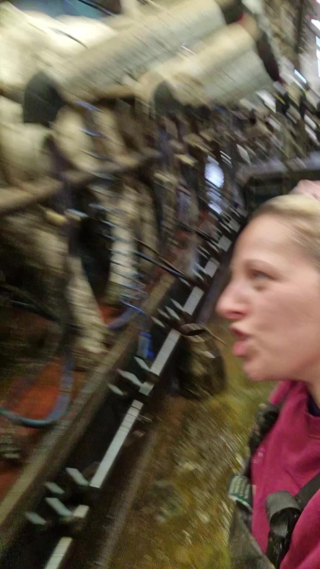 @Vicki 🐄 💕