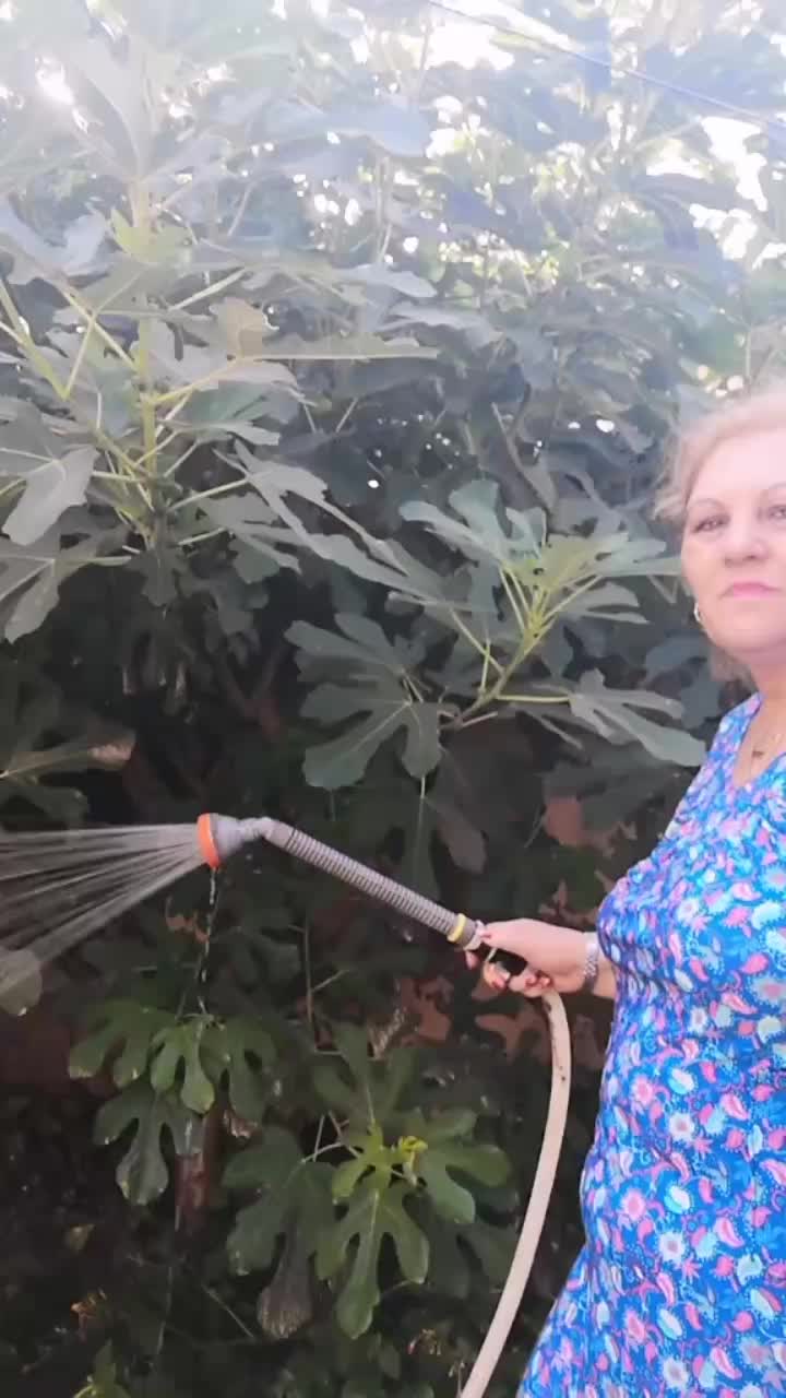 @Alejandrina Fanaru