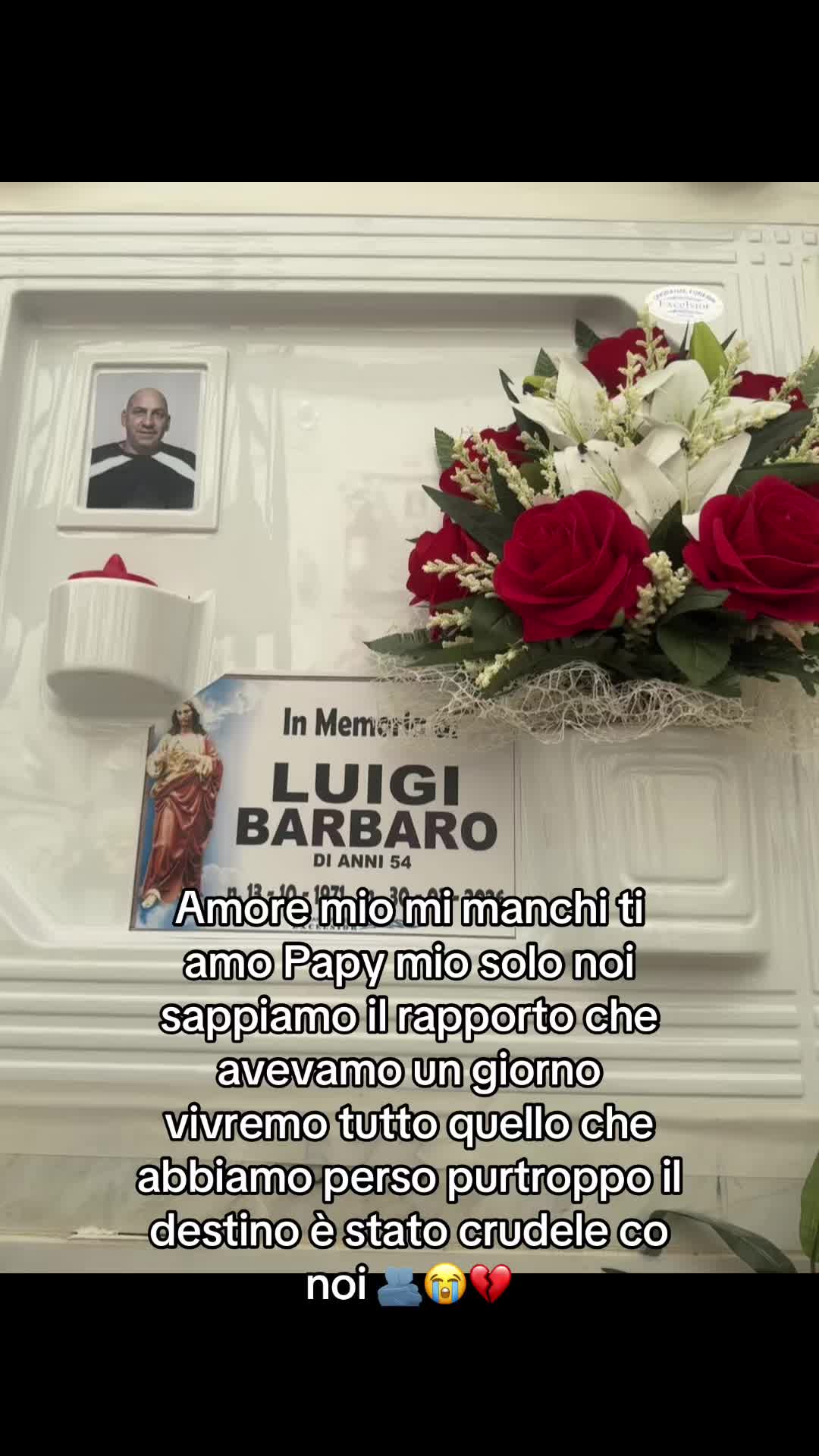 @sharonbarbaro