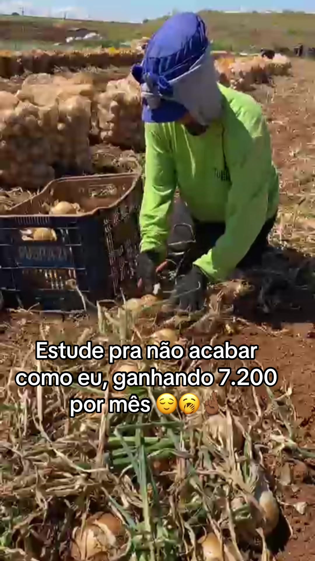 @anne jucielle
