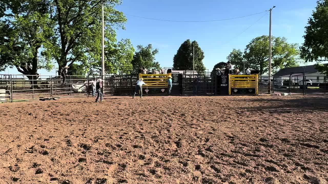 @mamasboyroughstock