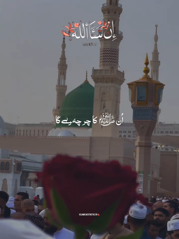 @راجه لقمان 🦅