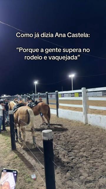 @Vivian Mirelly 🤠