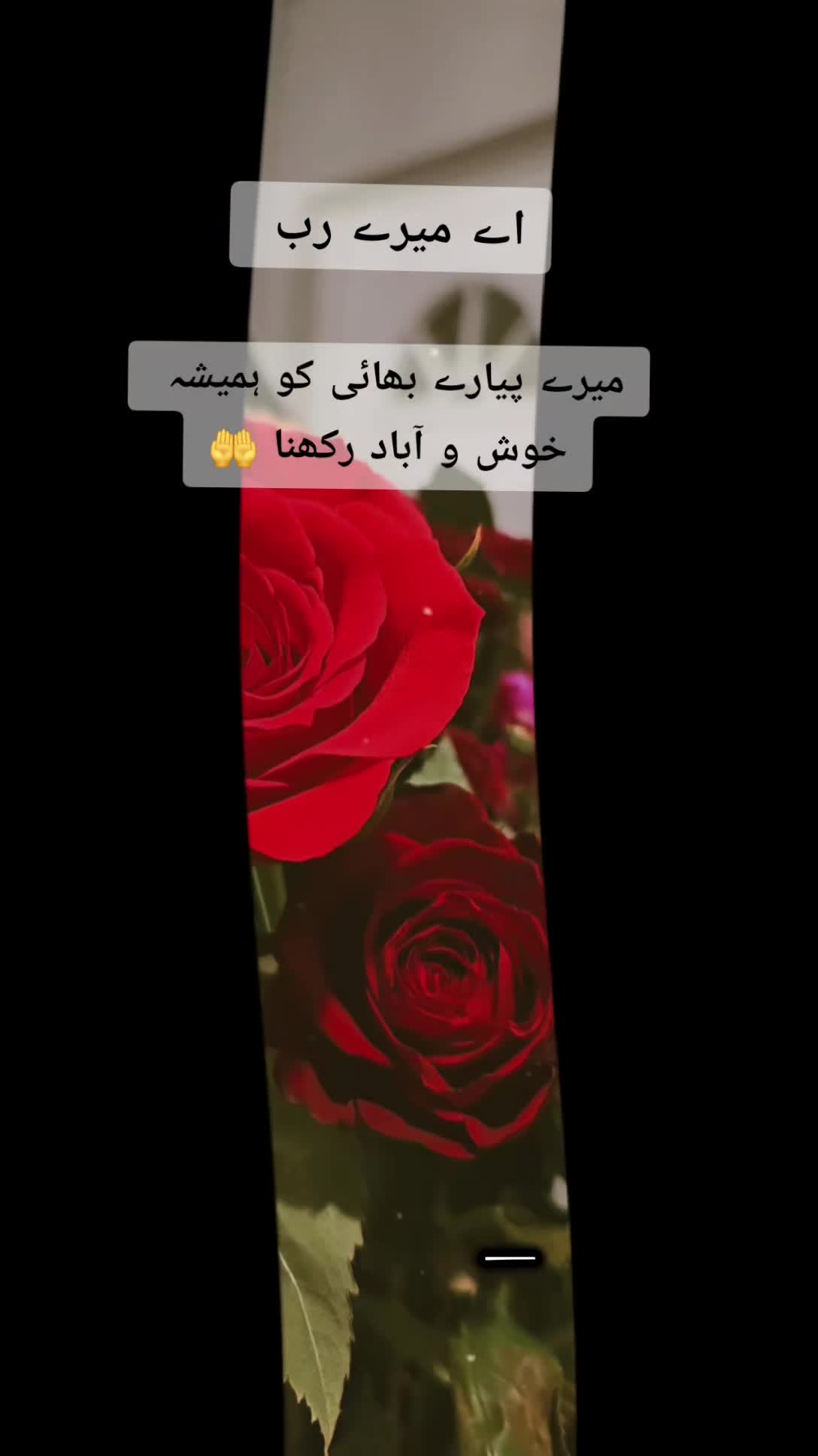 @ladoo ♥️
