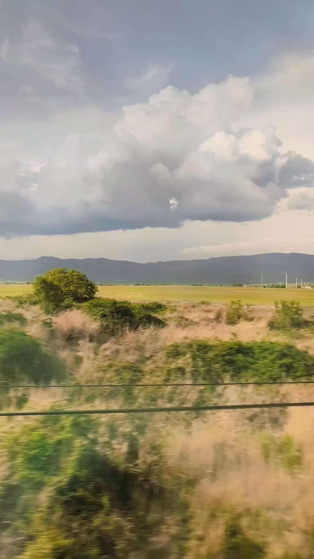 @P Andrés Muñoz