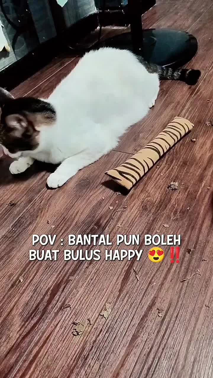 @Norazrena | Racun Tiktok
