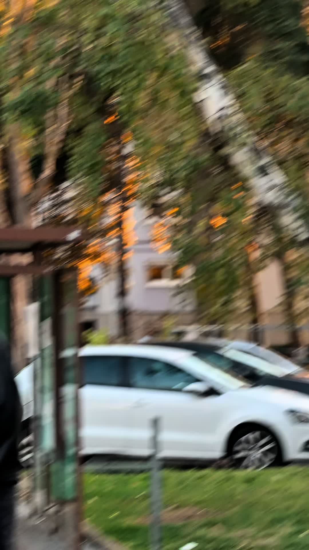 @samirjanan0