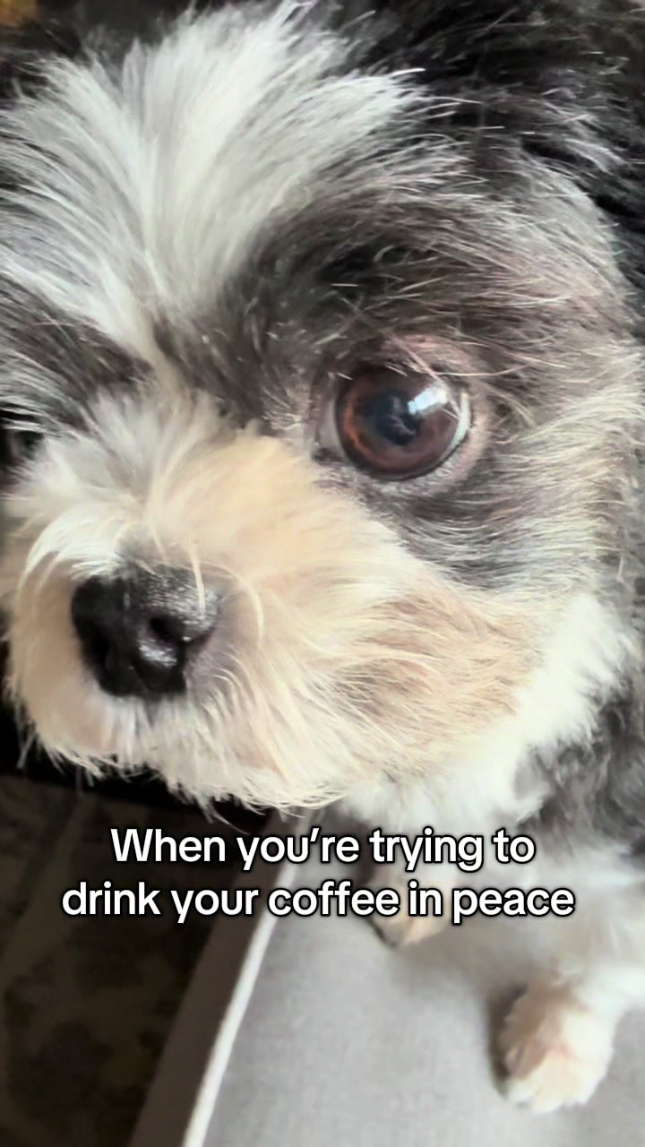 @LittleLuna.and.Lola