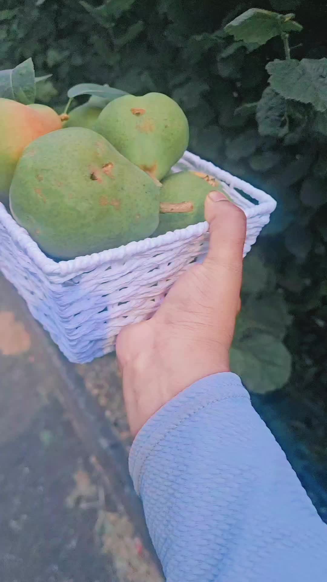 @꧁-🇬🇧𝓒я𝓐𝓢ⓗ👸𝓠𝕌ᗴ𝕖ň🇬🇧-꧂