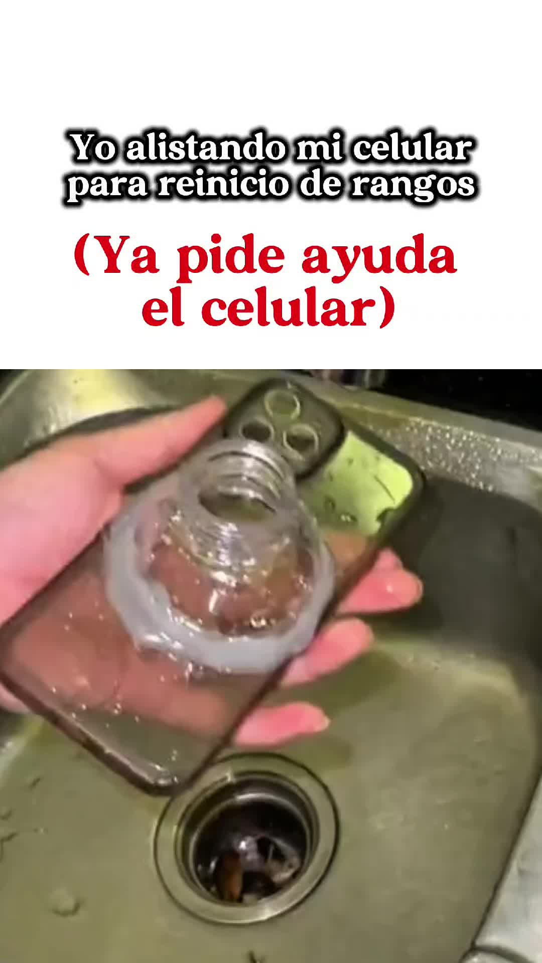 @Pedrozin