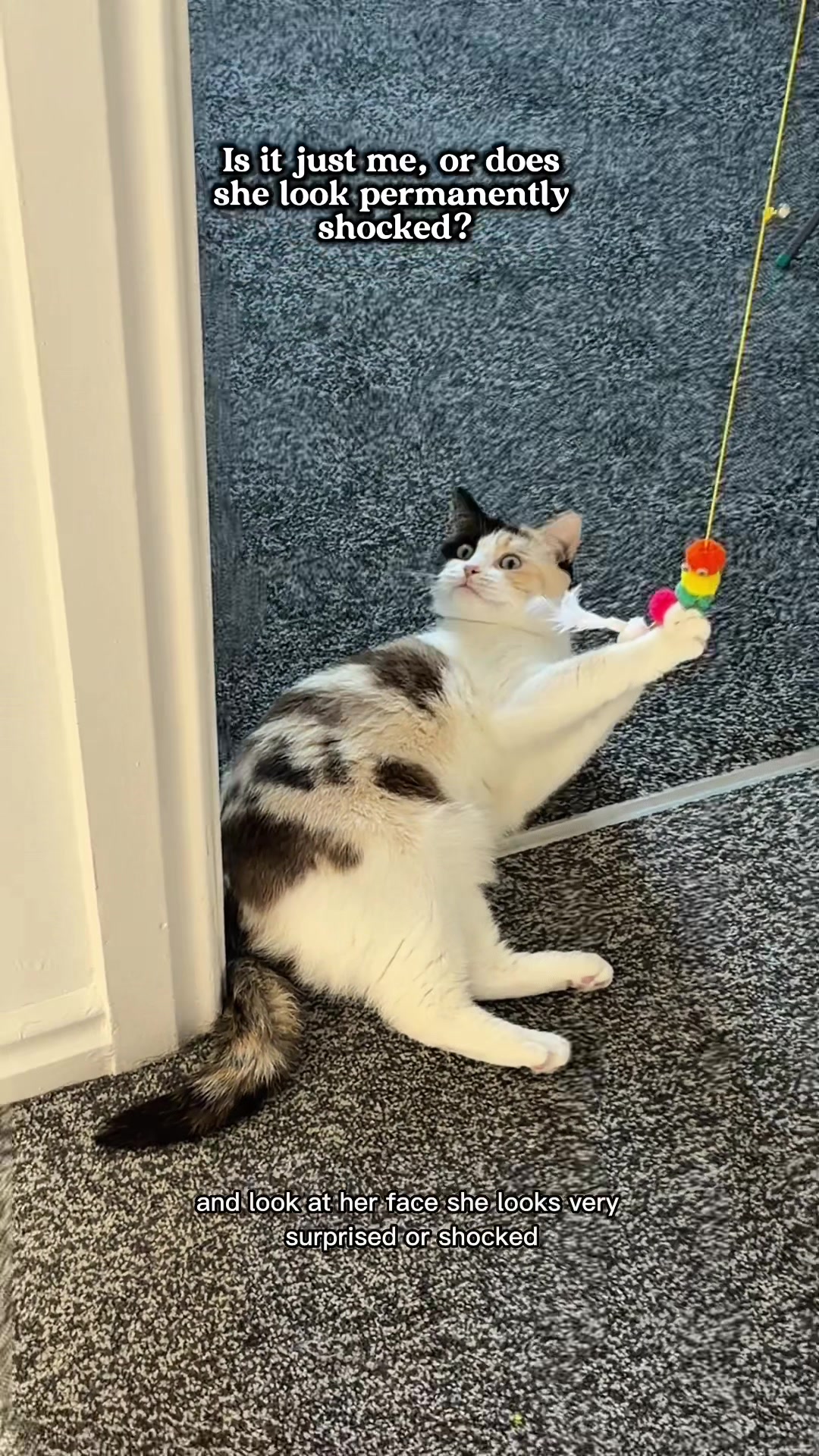 @slavic_cat_mum