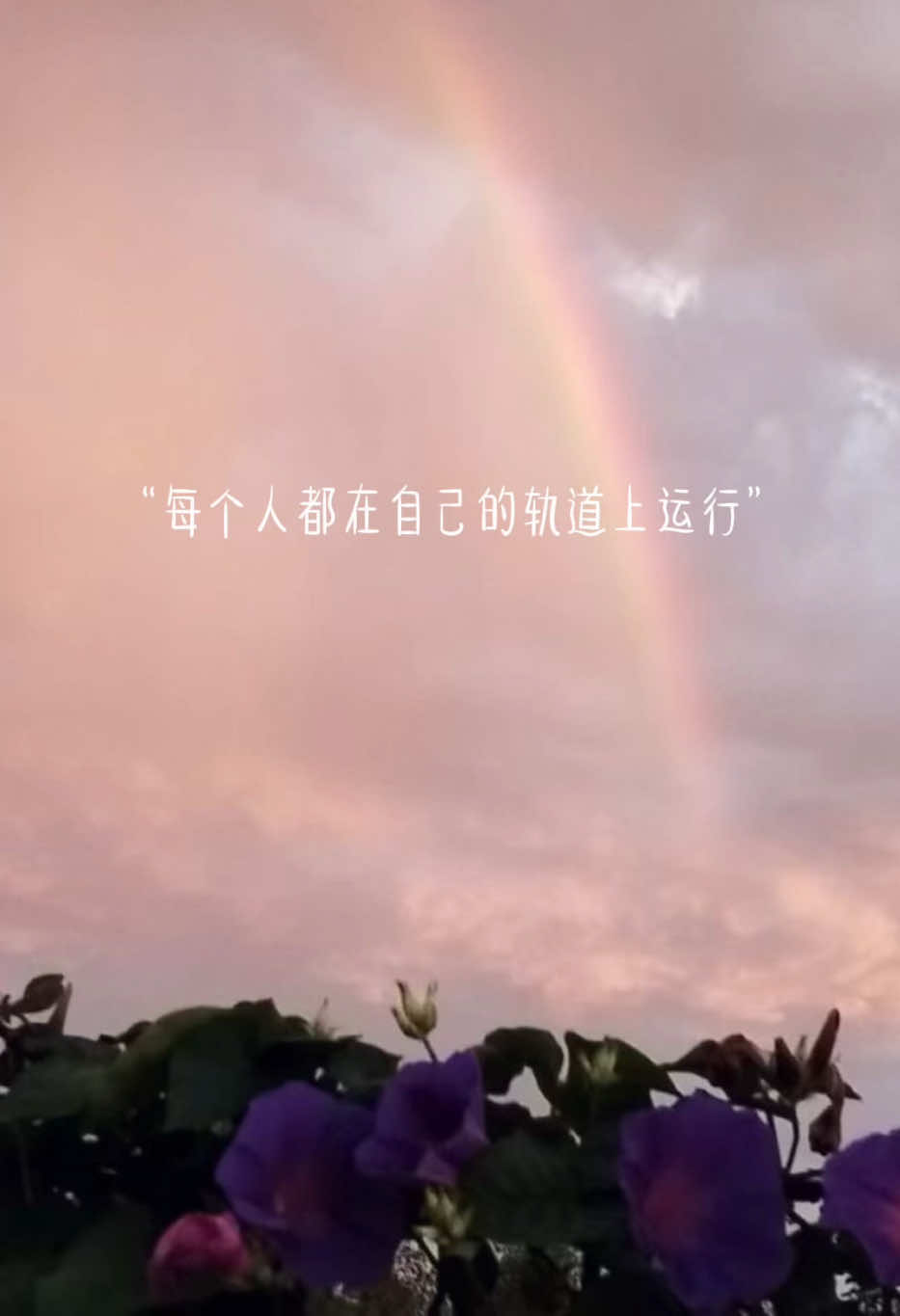 @能量姐
