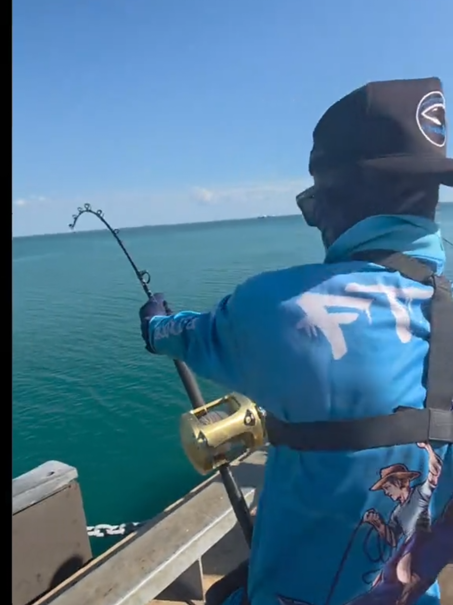 @NT SHARK KING