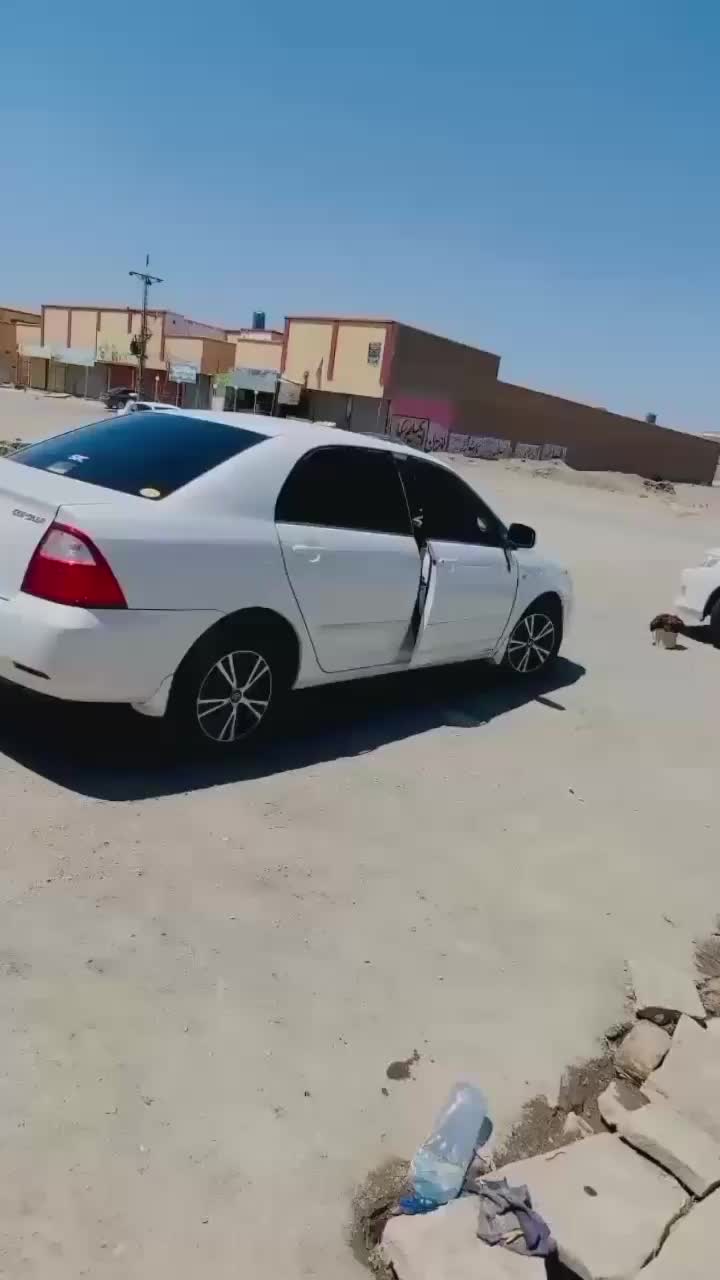@❤️عمیر شیرانی❤️