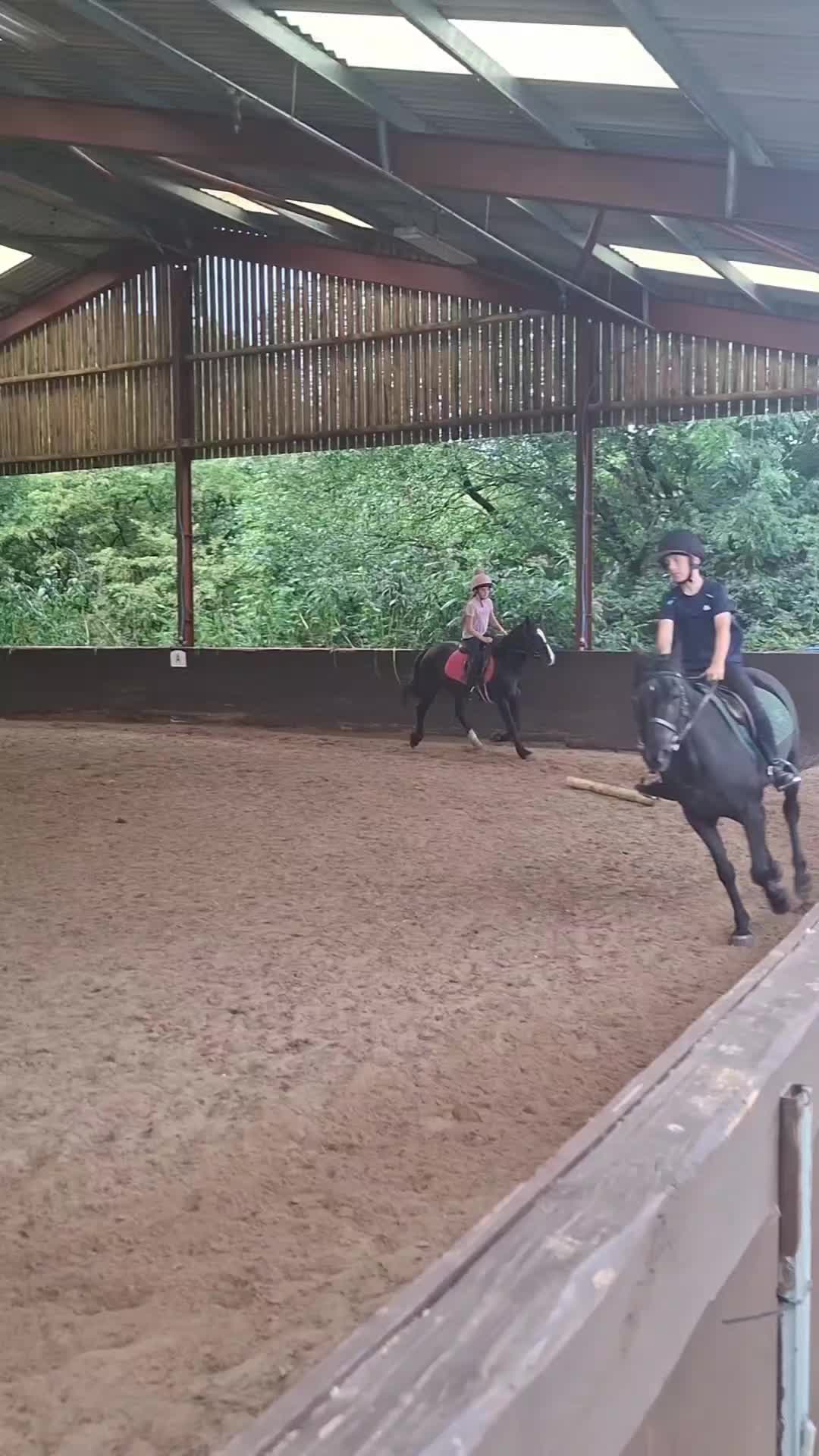 @Scarlett🐴🌾
