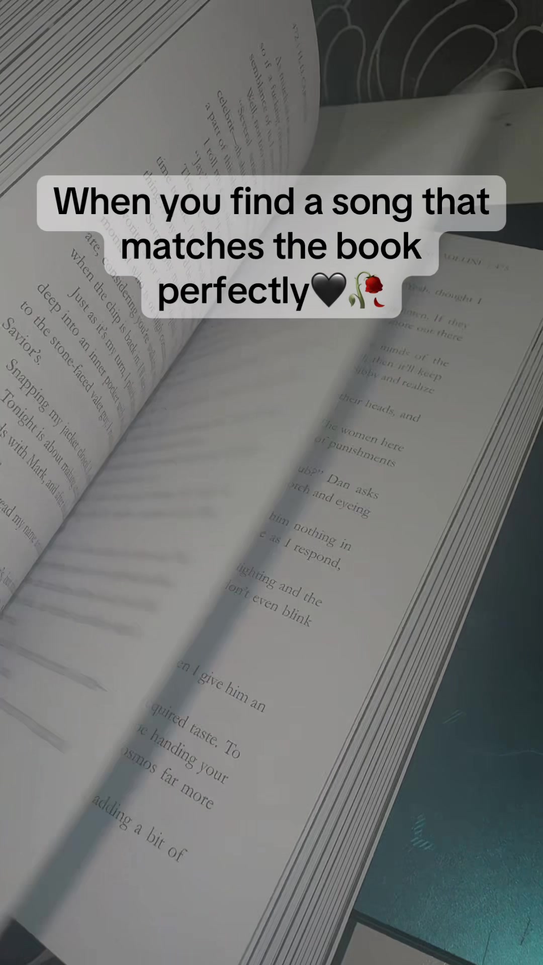 @LOZ READS📚🖤