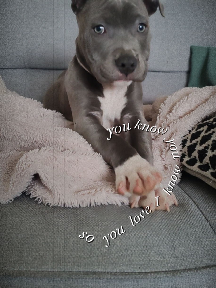 @Asko amstaff