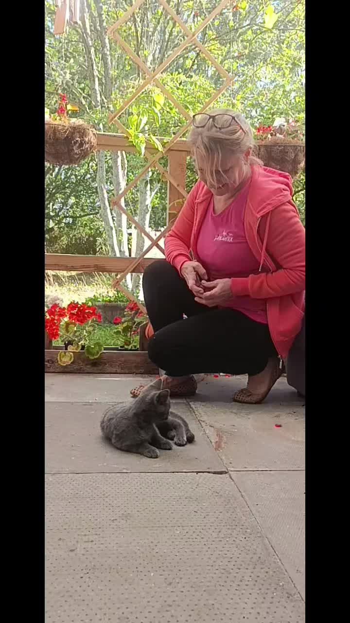 @ToniaNatureHealing