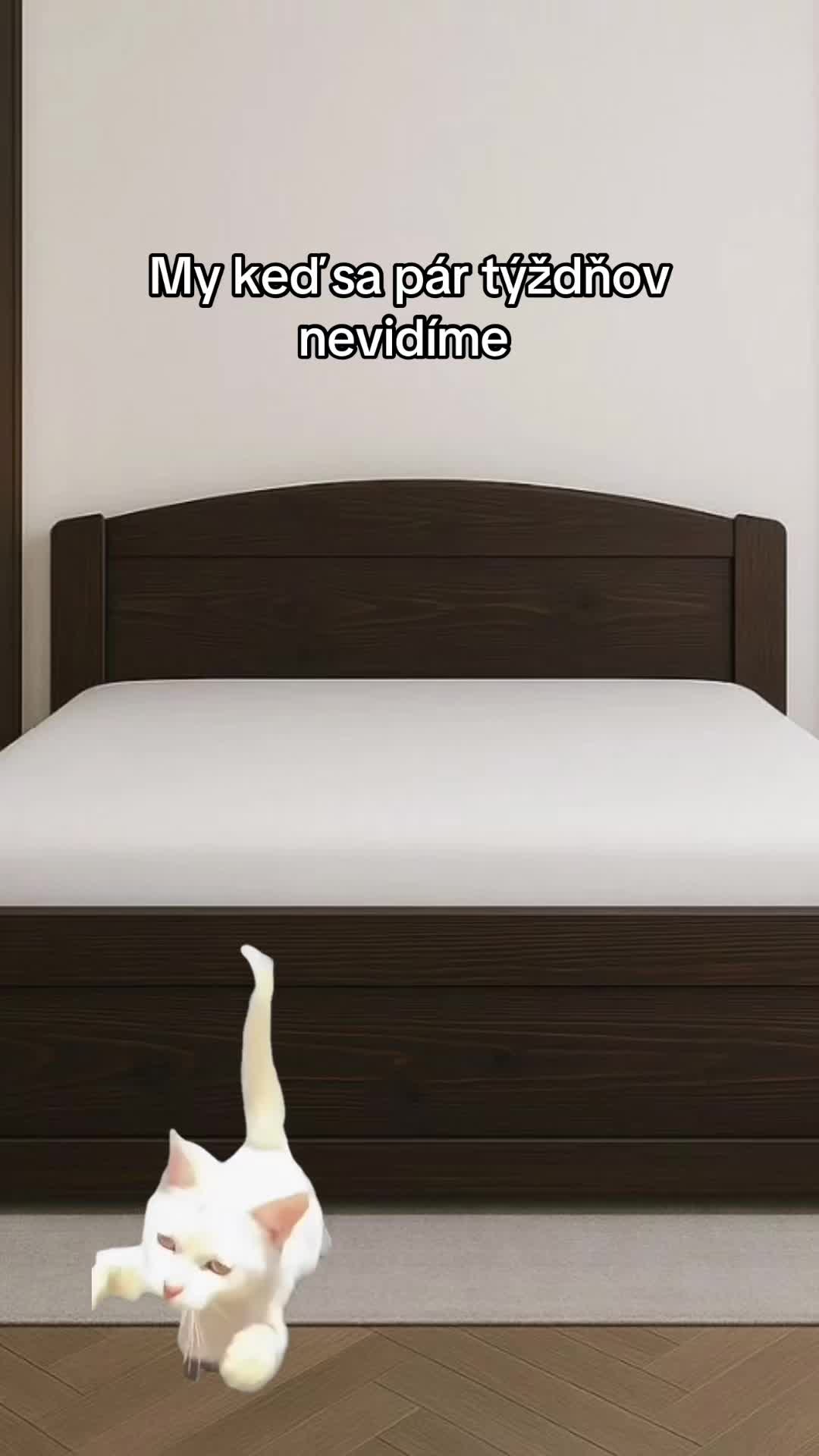 @Marek25