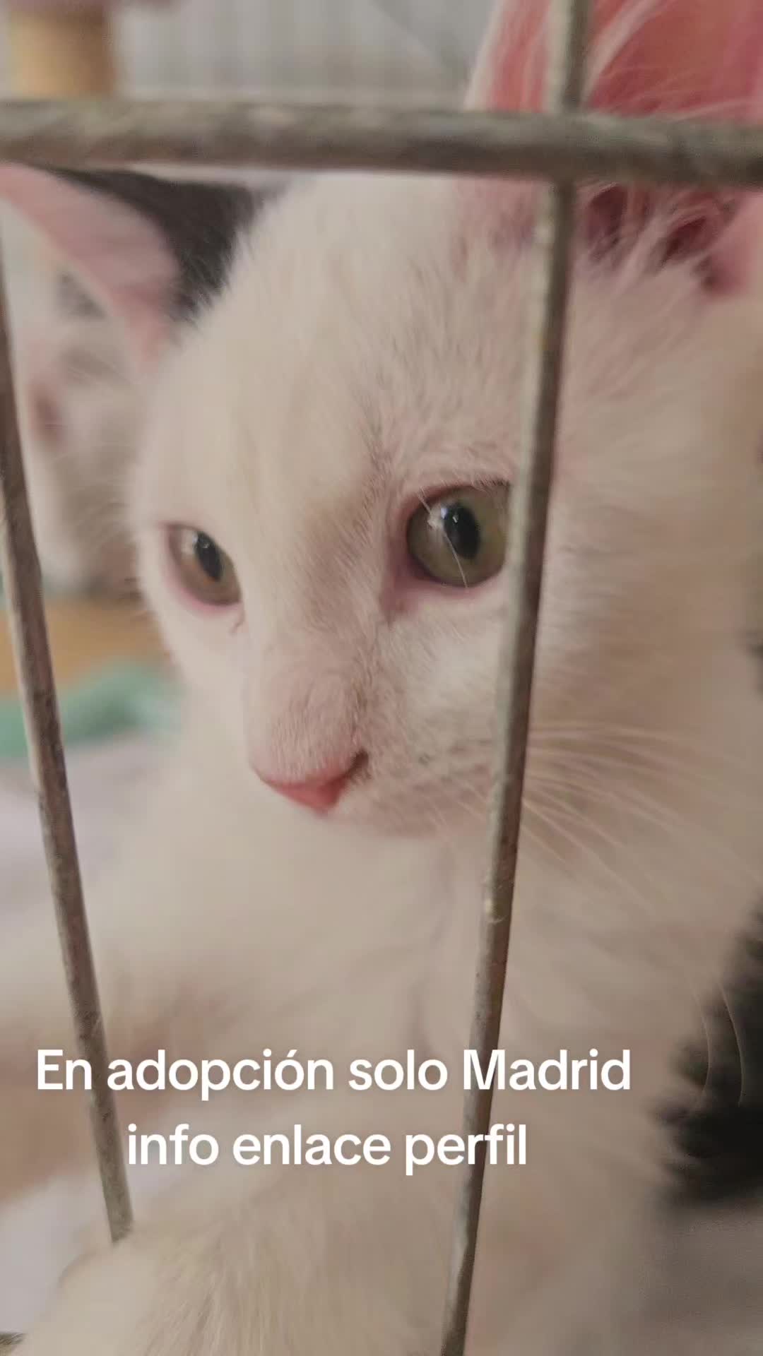 @Ronporsiempre