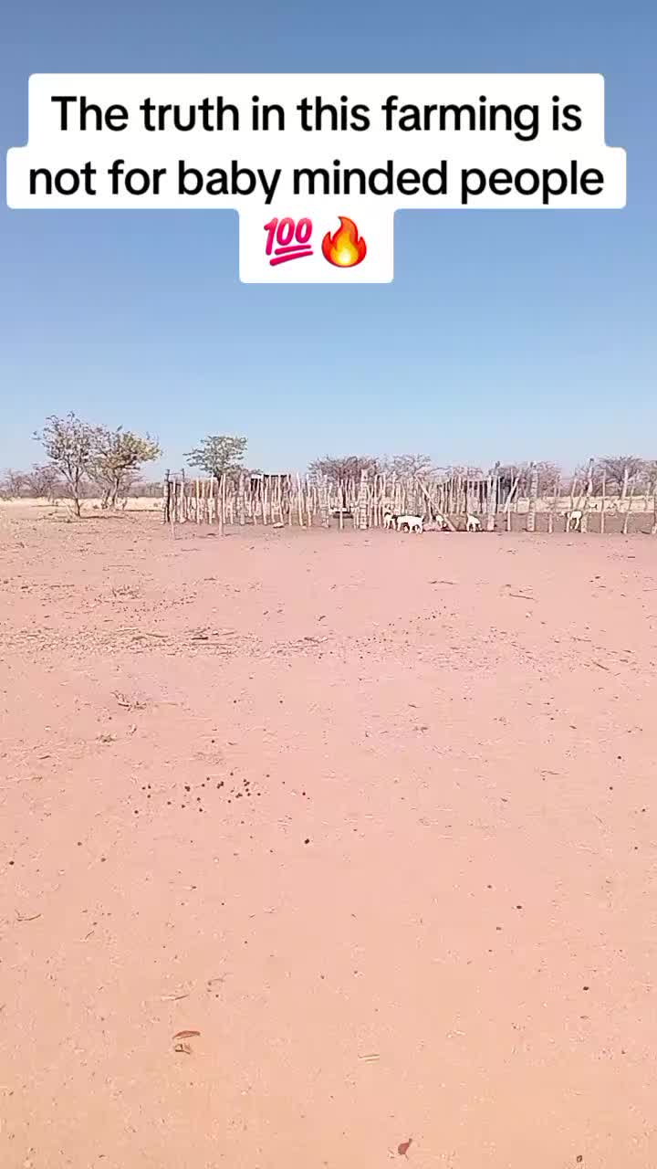 @King Zaako🇳🇦🫡