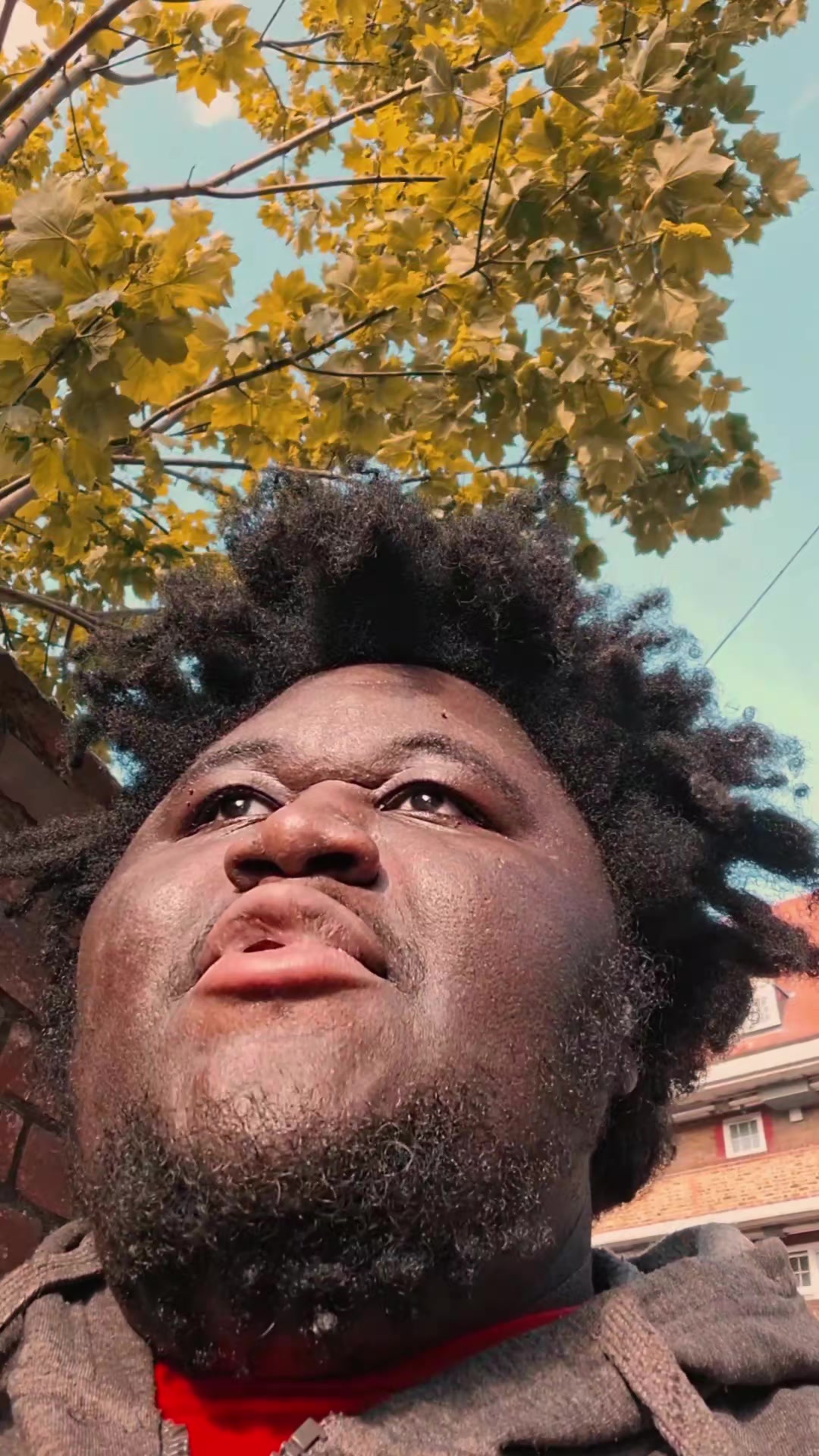 @bigboihums