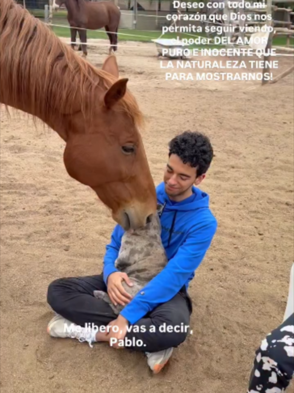 @L U Z A U R A