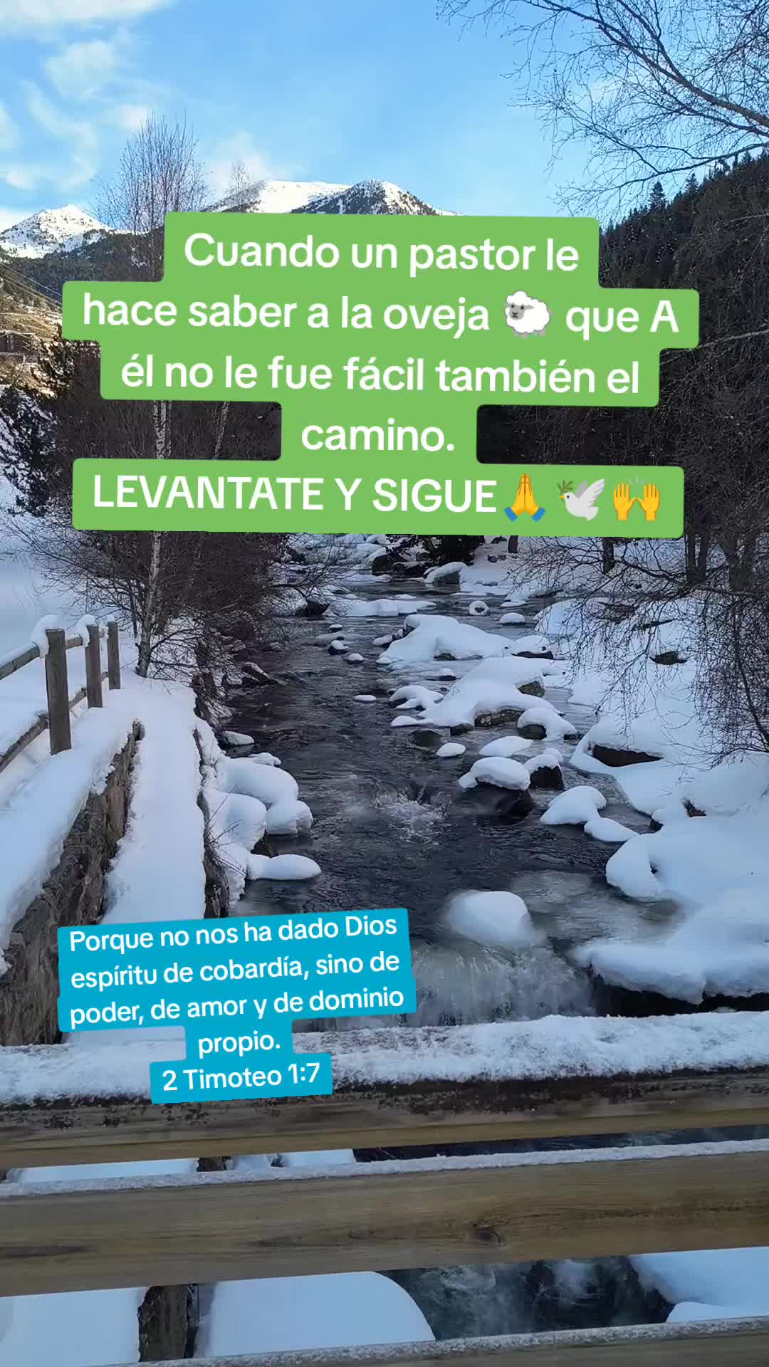 @GladysC1988