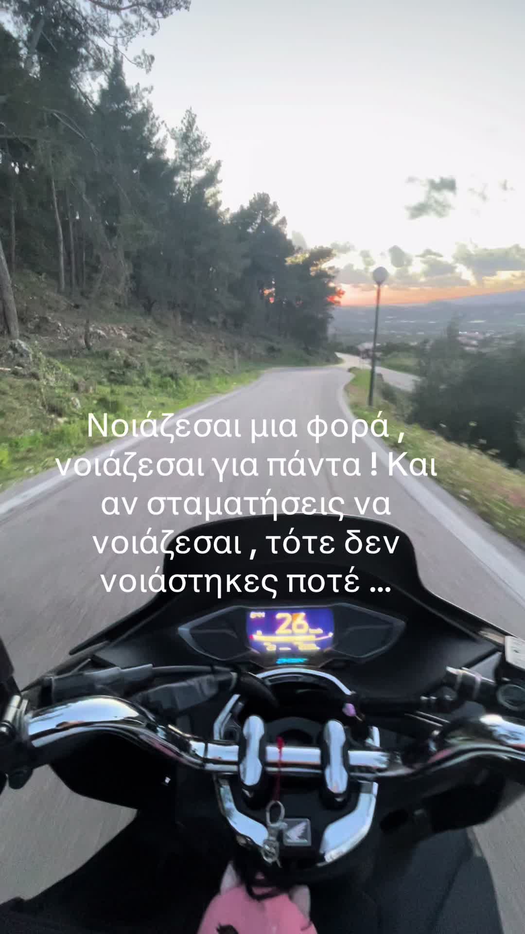 @🦊