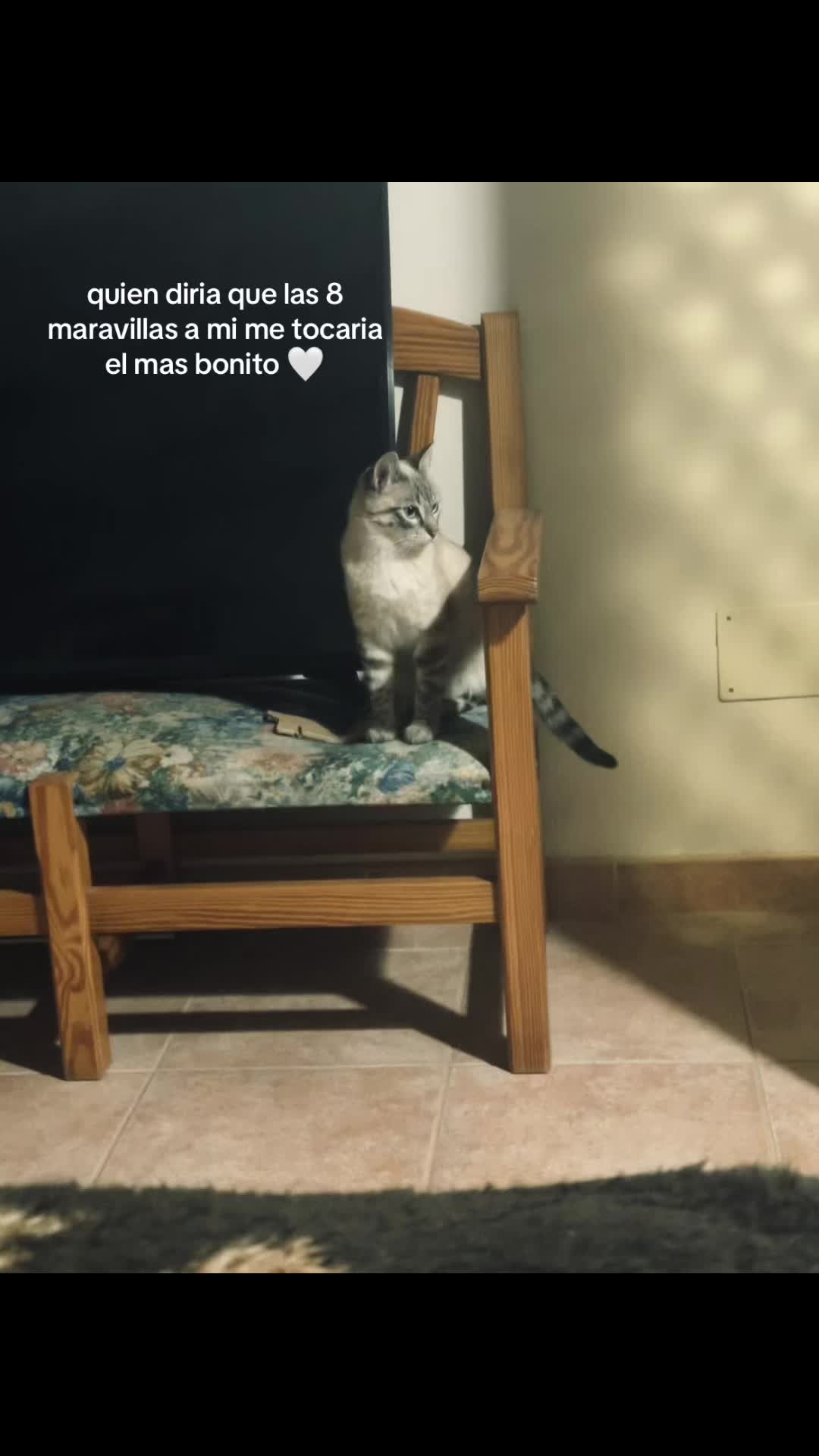 @𝓝𝓸𝓮𝓶𝓲