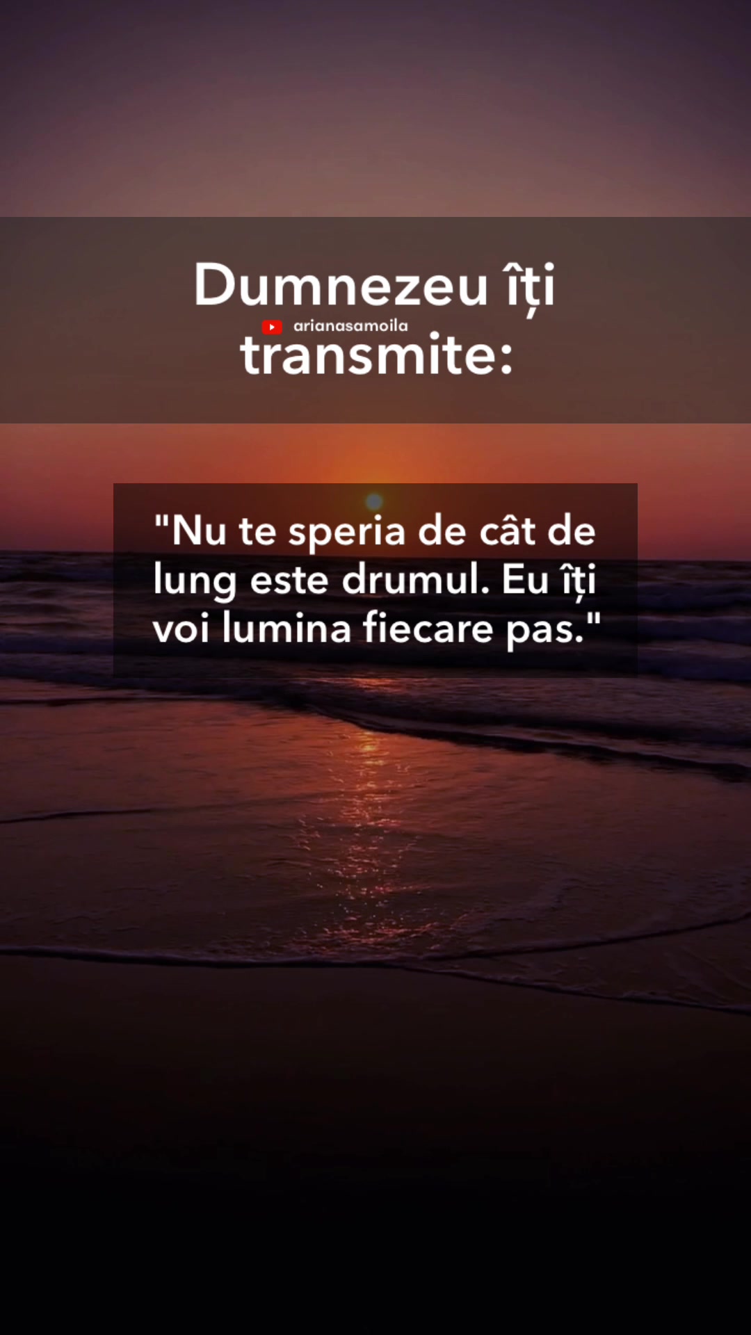@Ariana Samoilă